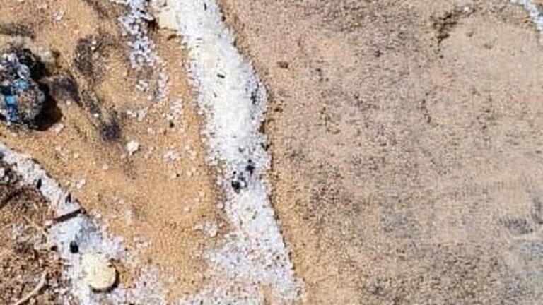 Fishermen and activists raise alarm over microplastic pollution on Kanniyakumari coast, after debris from sunken ship washes ashore