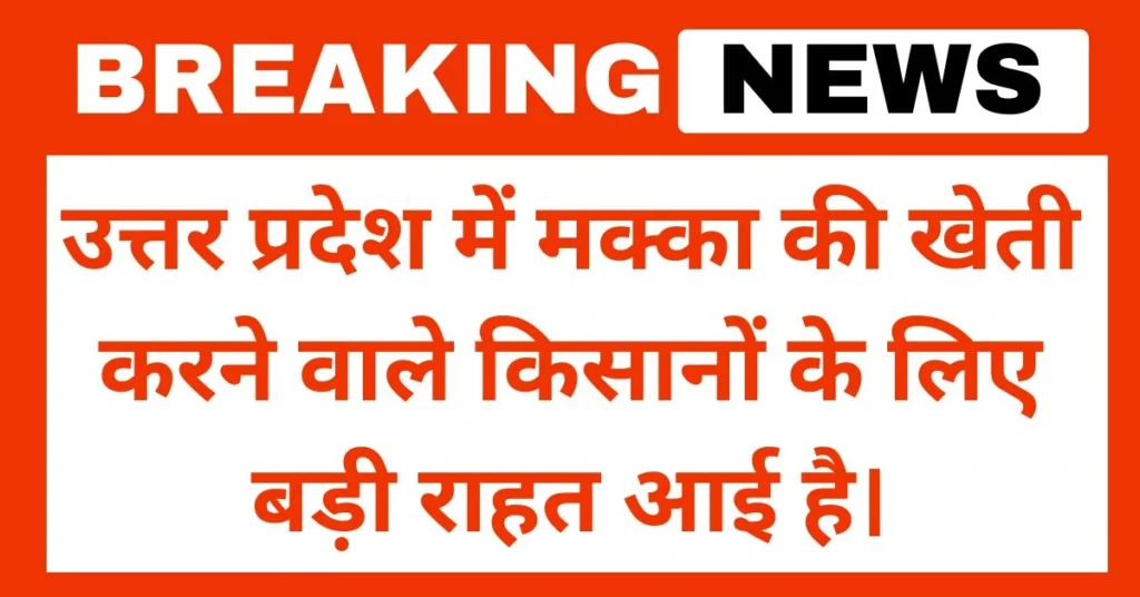 मक्का पर MSP