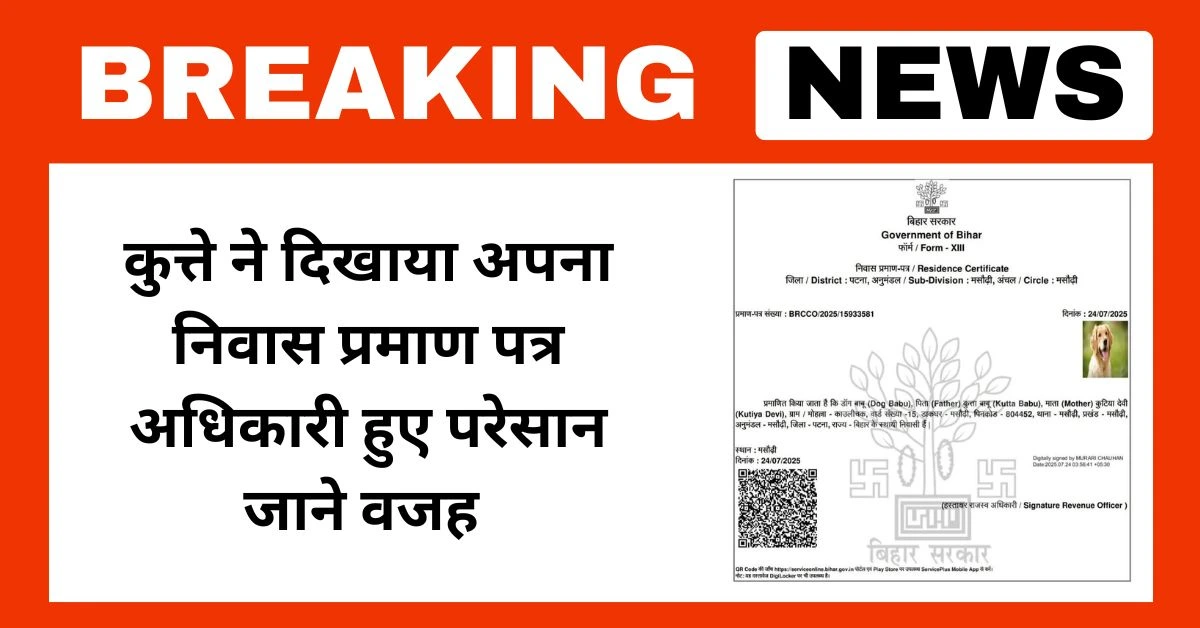 कुत्ते ने दिखाया अपना निवास प्रमाण पत्र अधिकारी हुए परेसान जाने वजह